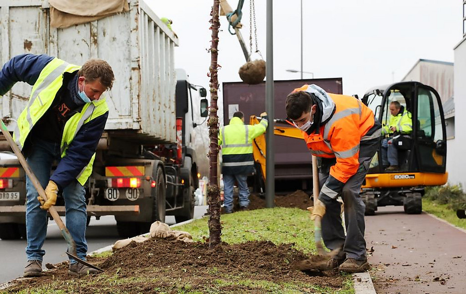 Plantation d'arbre sur l'avenue du jour, 8 décembre 2020 - voir en plus grand : (fenêtre modale)