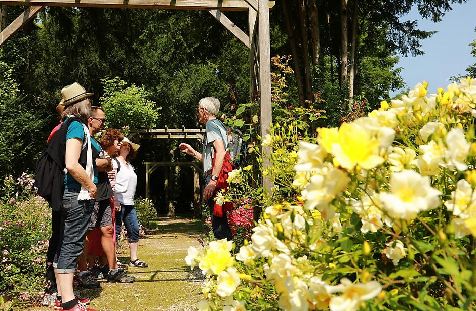 Balade nature et poésie des seniors, le 17 juillet - voir en plus grand : (fenêtre modale)