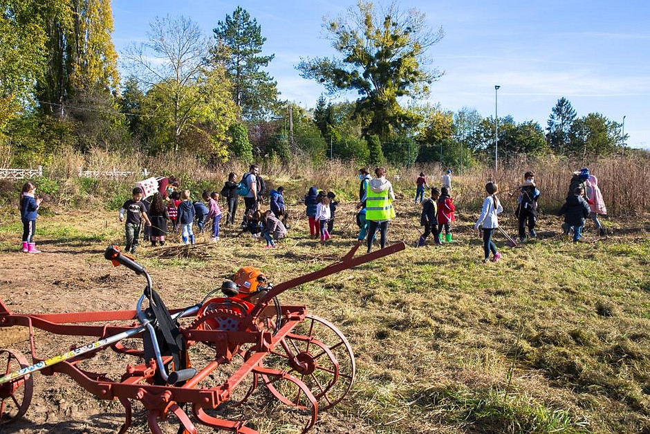 Atelier pédagogique au potager Label Vie de Cergy Village - voir en plus grand : (fenêtre modale)