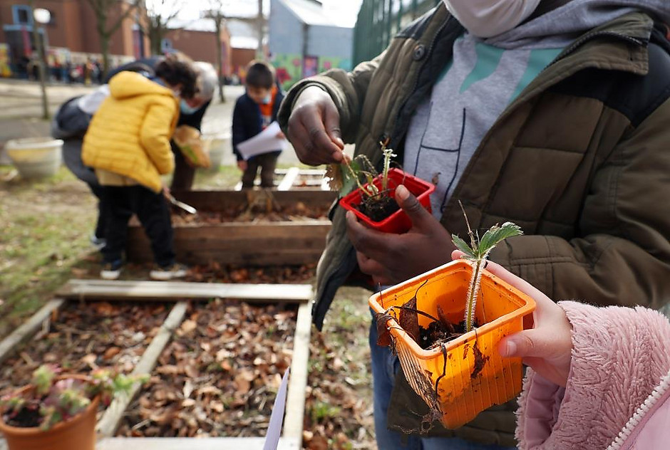 Projet éco-école au groupe scolaire de la Chanterelle, le 10 février 2022 - voir en plus grand : (fenêtre modale)