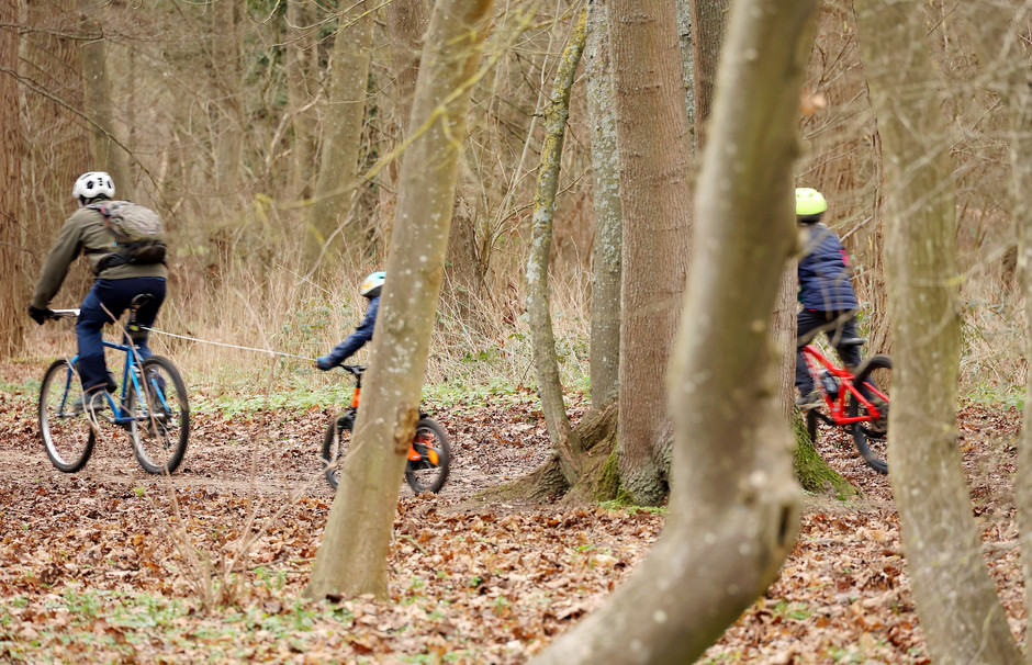Plantation participative au bois de Cergy, 28 et 29 janvier - voir en plus grand : (fenêtre modale)