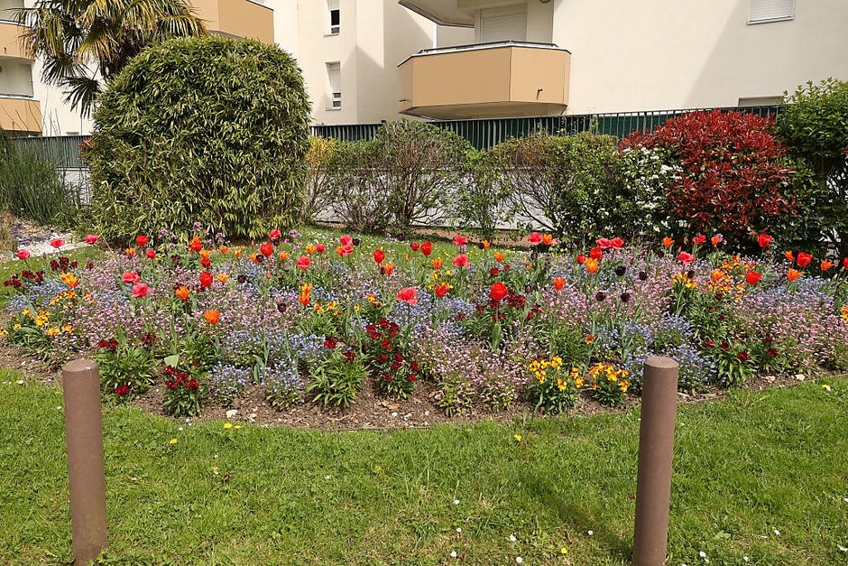 Sols fleuris et arbustes à Cergy - voir en plus grand : (fenêtre modale)