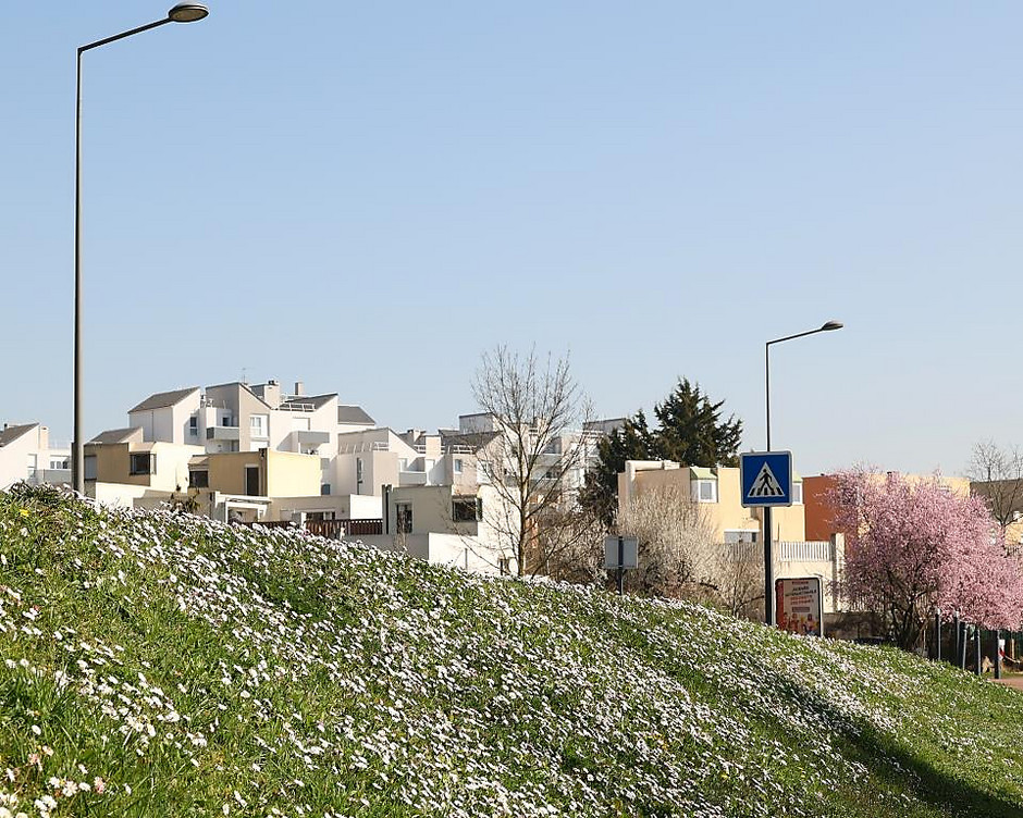 Sols fleuris et arbustes à Cergy - voir en plus grand : (fenêtre modale)