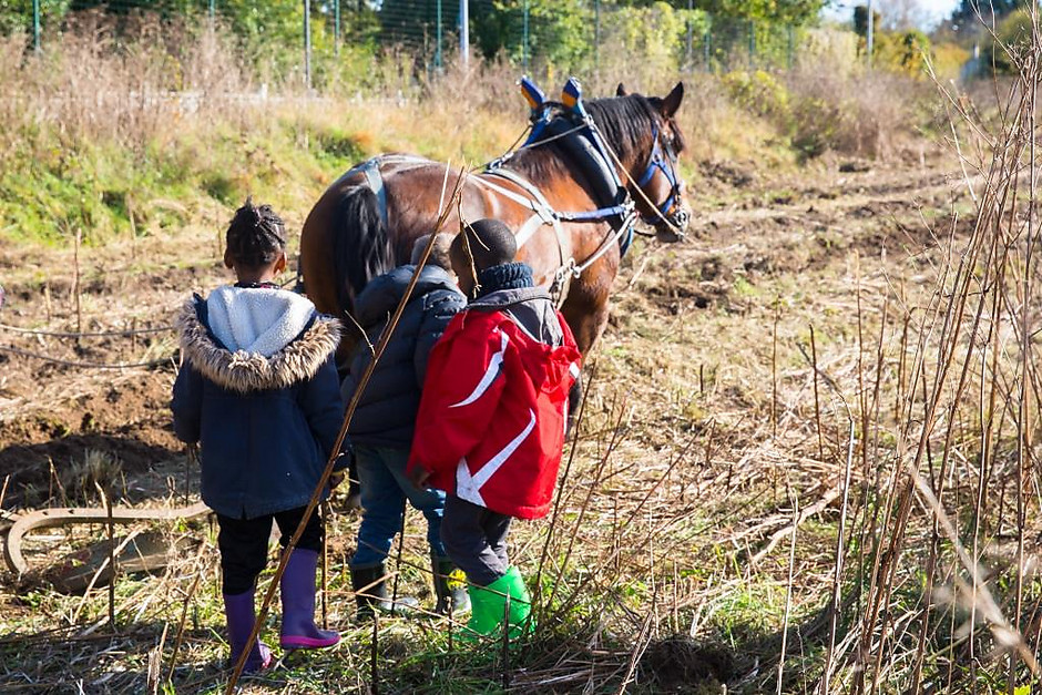 Atelier pédagogique au potager Label Vie de Cergy Village - voir en plus grand : (fenêtre modale)