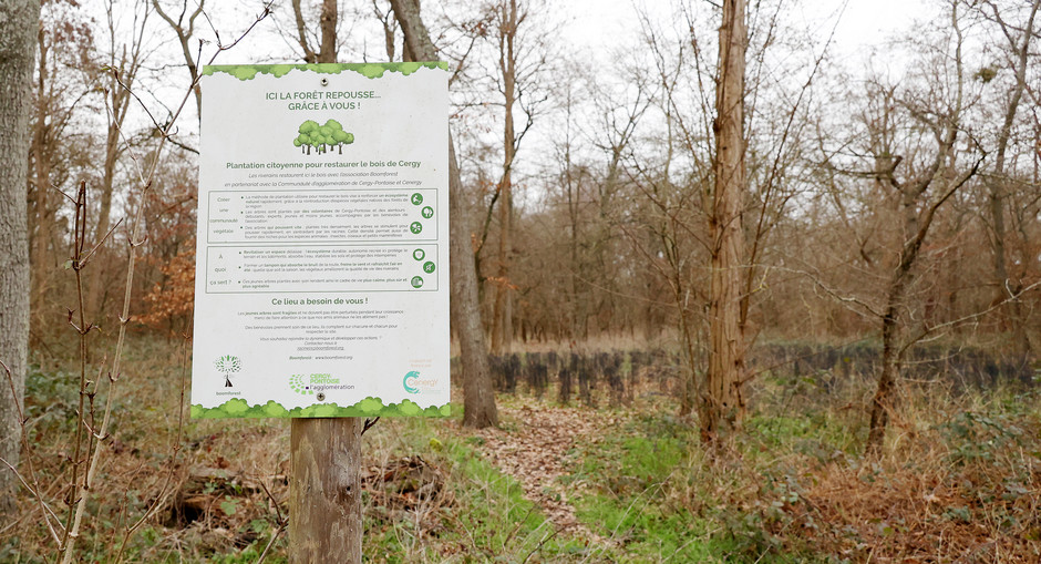 Plantation participative au bois de Cergy, 28 et 29 janvier - voir en plus grand : (fenêtre modale)