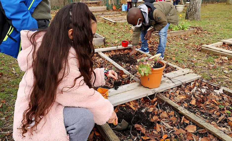 Projet éco-école au groupe scolaire de la Chanterelle, le 10 février 2022 - voir en plus grand : (fenêtre modale)