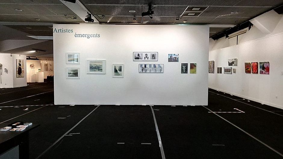Exposition Artistes émergents, du samedi 3 au dimanche 18 octobre 2020 au Carreau de Cergy - voir en plus grand : (fenêtre modale)