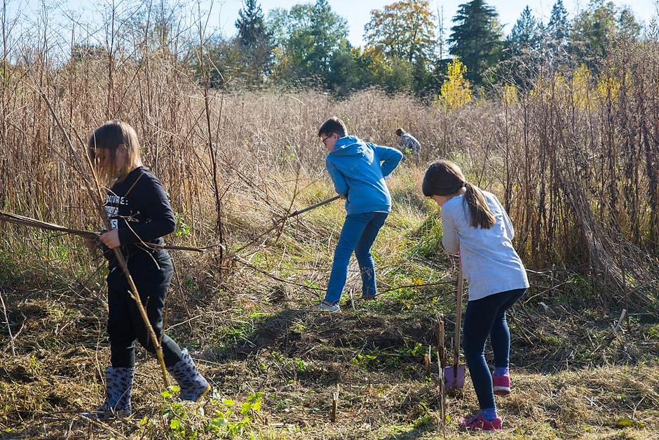 Atelier pédagogique au potager Label Vie de Cergy Village - voir en plus grand : (fenêtre modale)