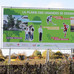 Afficher l'image : 5 sur 5