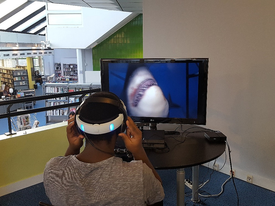 Réalité virtuelle - médiathèque L'Astrolabe - voir en plus grand : (fenêtre modale)