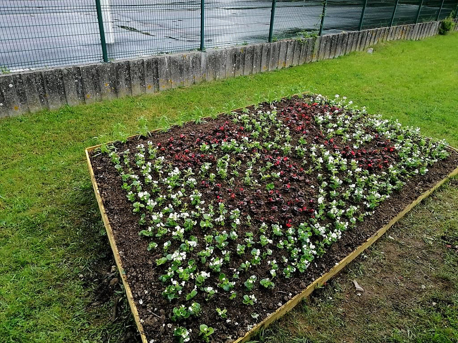 Jardinière située Avenue du Nord (groupe scolaire des Linandes). - voir en plus grand : (fenêtre modale)