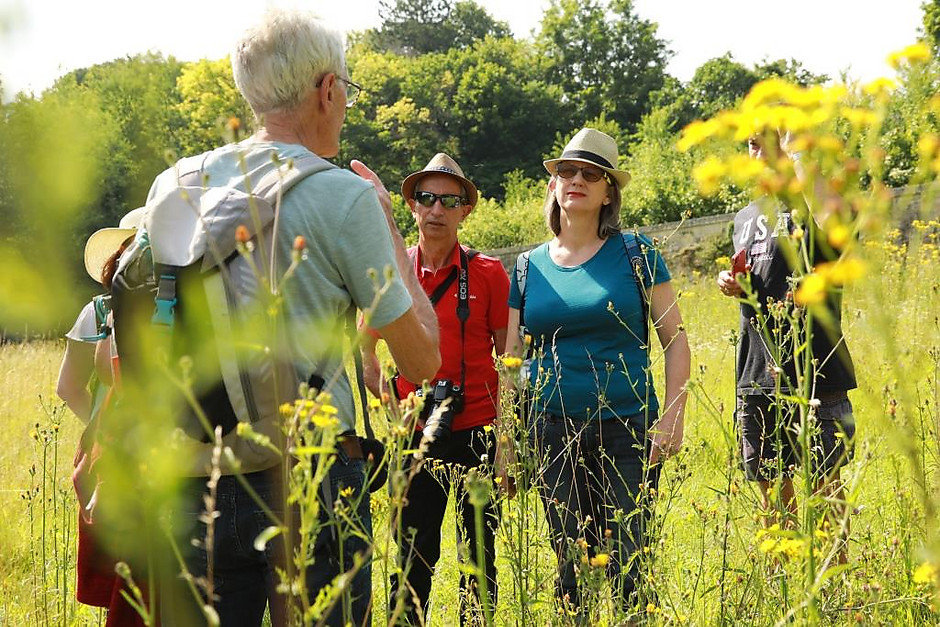 Balade nature et poésie des seniors, le 17 juillet - voir en plus grand : (fenêtre modale)