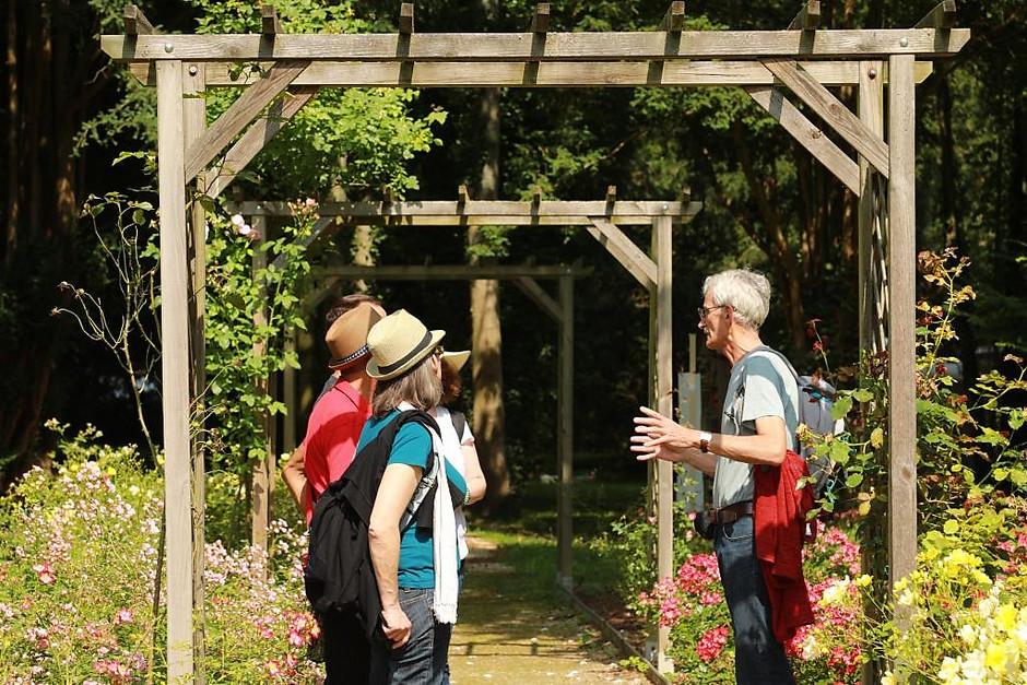 Balade nature et poésie des seniors, le 17 juillet - voir en plus grand : (fenêtre modale)