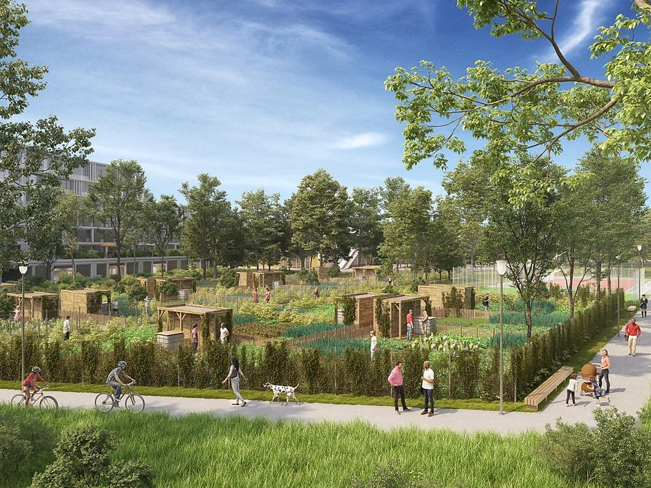 Jardins pédagogiques au pied de futurs logements de l'éco-quartier des Doux Epis - voir en plus grand : (fenêtre modale)