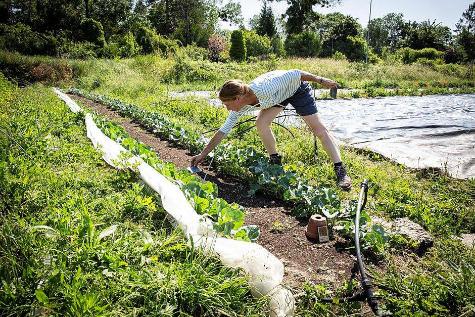 Les rendez-vous aux jardins, du 2 au 4 juin - voir en plus grand : (fenêtre modale)