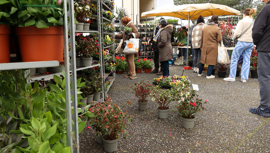 Marché au fleurs - voir en plus grand : (fenêtre modale)