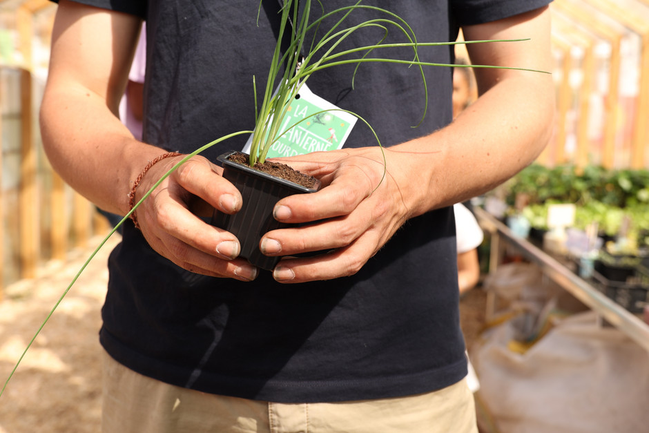 Troc aux plantes, le 14 mai à la maison de quartier Axe Majeur - Horloge - voir en plus grand : (fenêtre modale)
