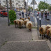 Afficher l'image : 3 sur 19