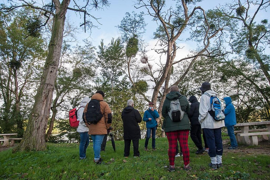 Semaine bleue, balade poétique sur l'île de loisirs le 6 octobre 2020 - voir en plus grand : (fenêtre modale)