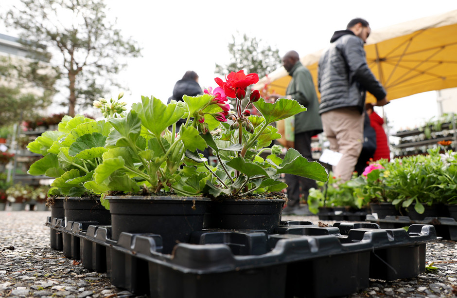 Marché au fleurs - voir en plus grand : (fenêtre modale)