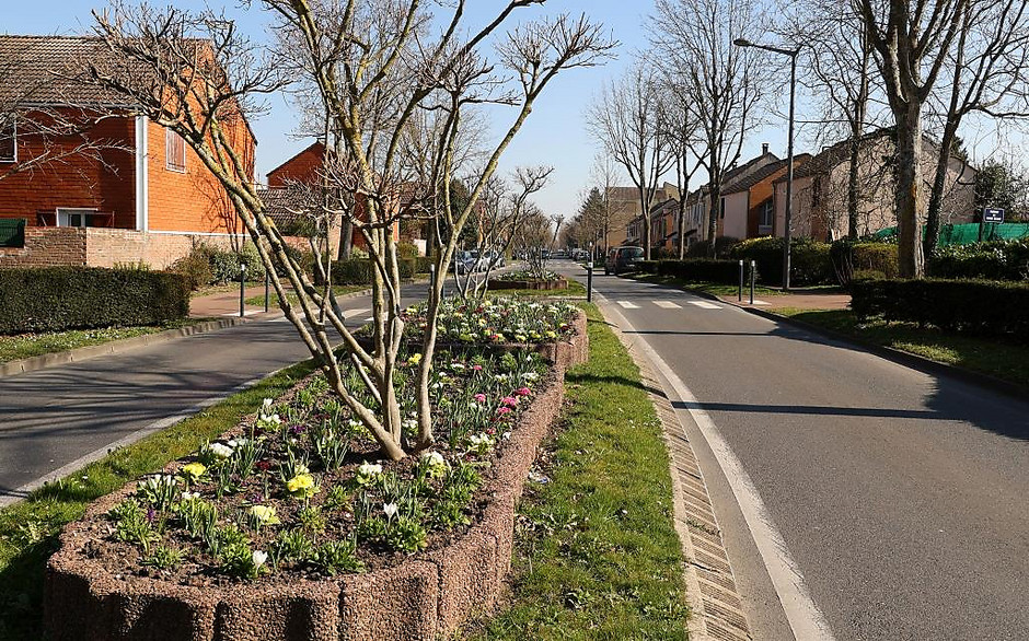 Sols fleuris et arbustes à Cergy - voir en plus grand : (fenêtre modale)