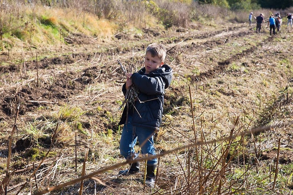Atelier pédagogique au potager Label Vie de Cergy Village - voir en plus grand : (fenêtre modale)