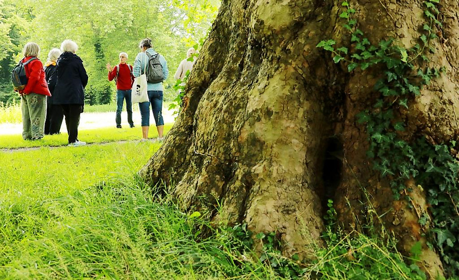Balade poétique des seniors le long de la coulée verte, le 7 juillet - voir en plus grand : (fenêtre modale)