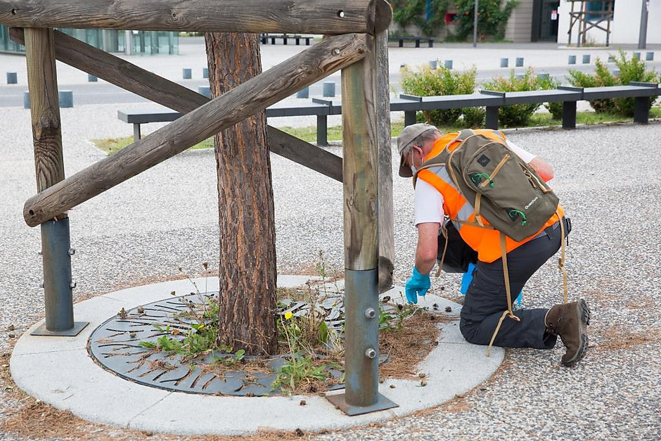 World CleanUp Day avec le Conseil des jeunes le 19 septembre, Hauts-de-Cergy - voir en plus grand : (fenêtre modale)