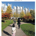 Afficher l'image : 10 sur 11