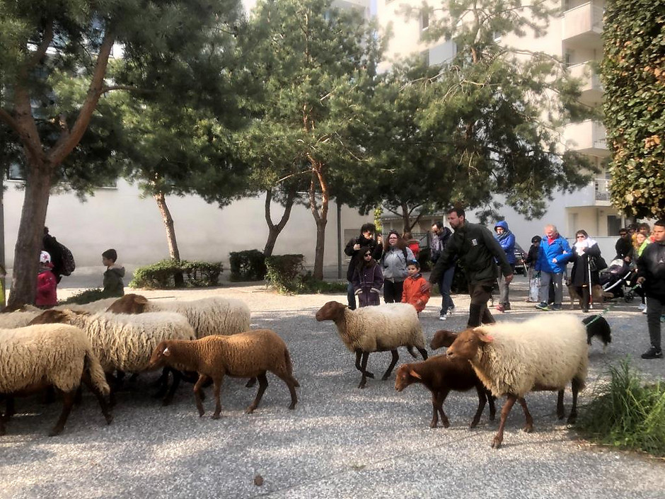 voir en plus grand : (fenêtre modale)