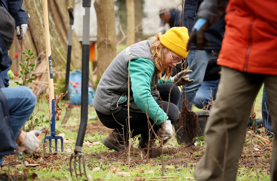 Plantation participative au bois de Cergy, 28 et 29 janvier - voir en plus grand : (fenêtre modale)