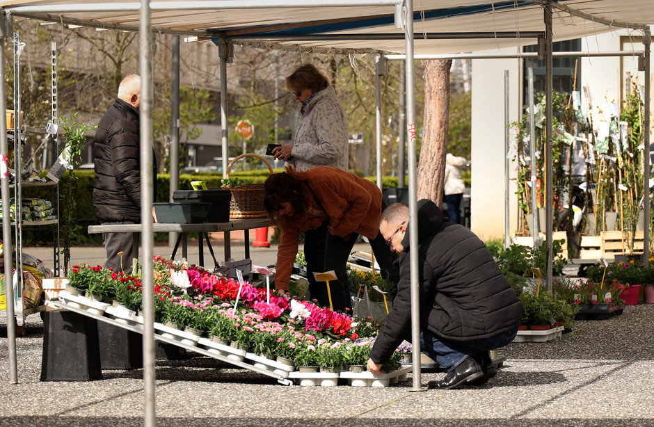 Marché au fleurs - voir en plus grand : (fenêtre modale)