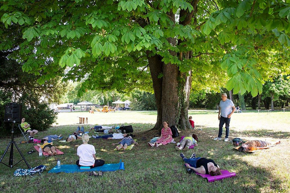 Les rendez-vous aux jardins, du 2 au 4 juin - voir en plus grand : (fenêtre modale)
