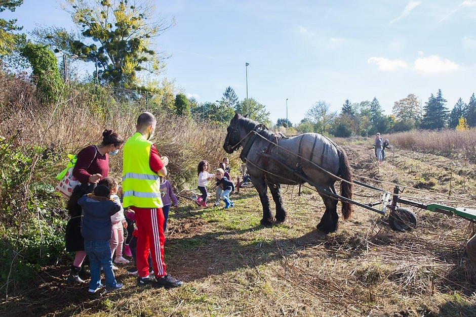 Atelier pédagogique au potager Label Vie de Cergy Village - voir en plus grand : (fenêtre modale)