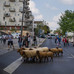 Afficher l'image : 2 sur 19