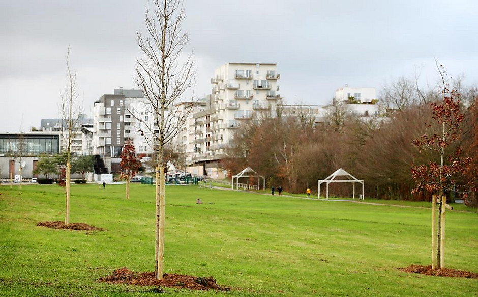 Nouvelles plantations Promenade des Deux-Bois - Décembre 2020 - voir en plus grand : (fenêtre modale)