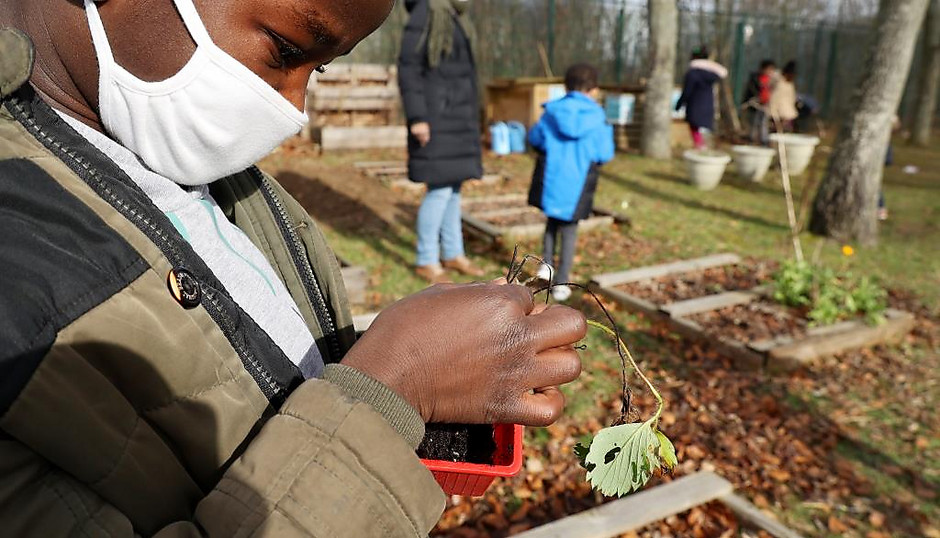 Projet éco-école au groupe scolaire de la Chanterelle, le 10 février 2022 - voir en plus grand : (fenêtre modale)