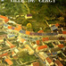 Afficher l'image : 5 sur 12
