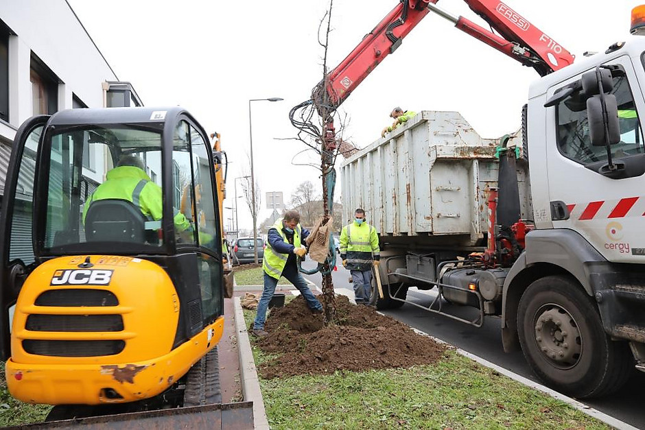 Plantation d'arbre sur l'avenue du jour, 8 décembre 2020 - voir en plus grand : (fenêtre modale)